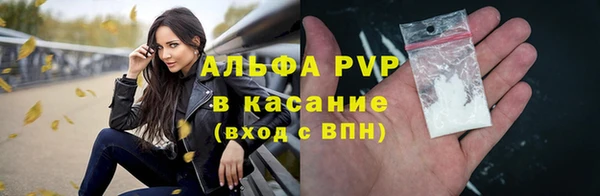 хмурый Лагань