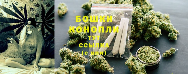 хмурый Лагань