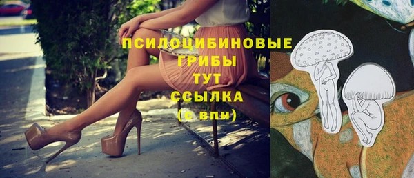 кокаин перу Ладушкин