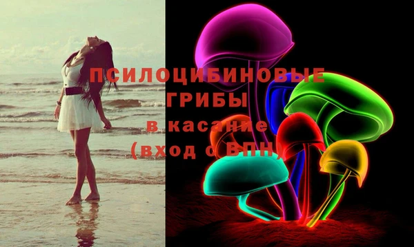 гидропоника Лабытнанги