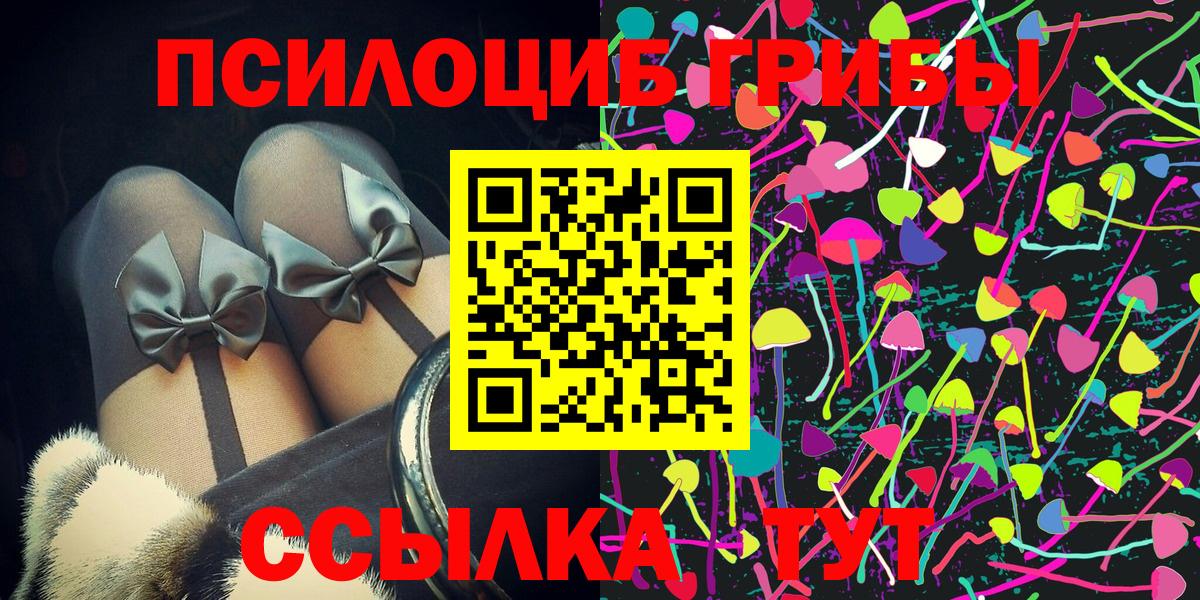 Галлюциногенные грибы Cubensis  Брянск 