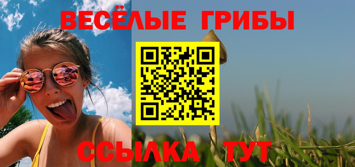 Галлюциногенные грибы GOLDEN TEACHER  Вход с VPN  Брянск 