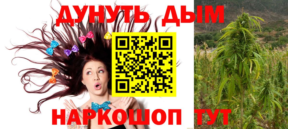 Шишки марихуана тримм  Брянск  Марихуана VHQ 